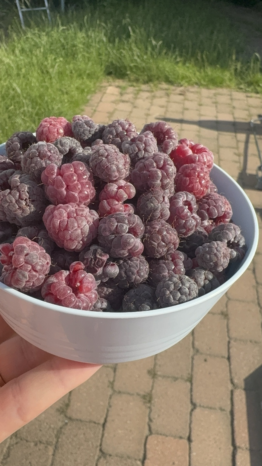 Sommarens hallonbowl
